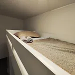 Apartment Goriska